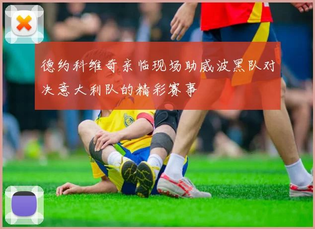 德约科维奇亲临现场助威波黑队对决意大利队的精彩赛事
